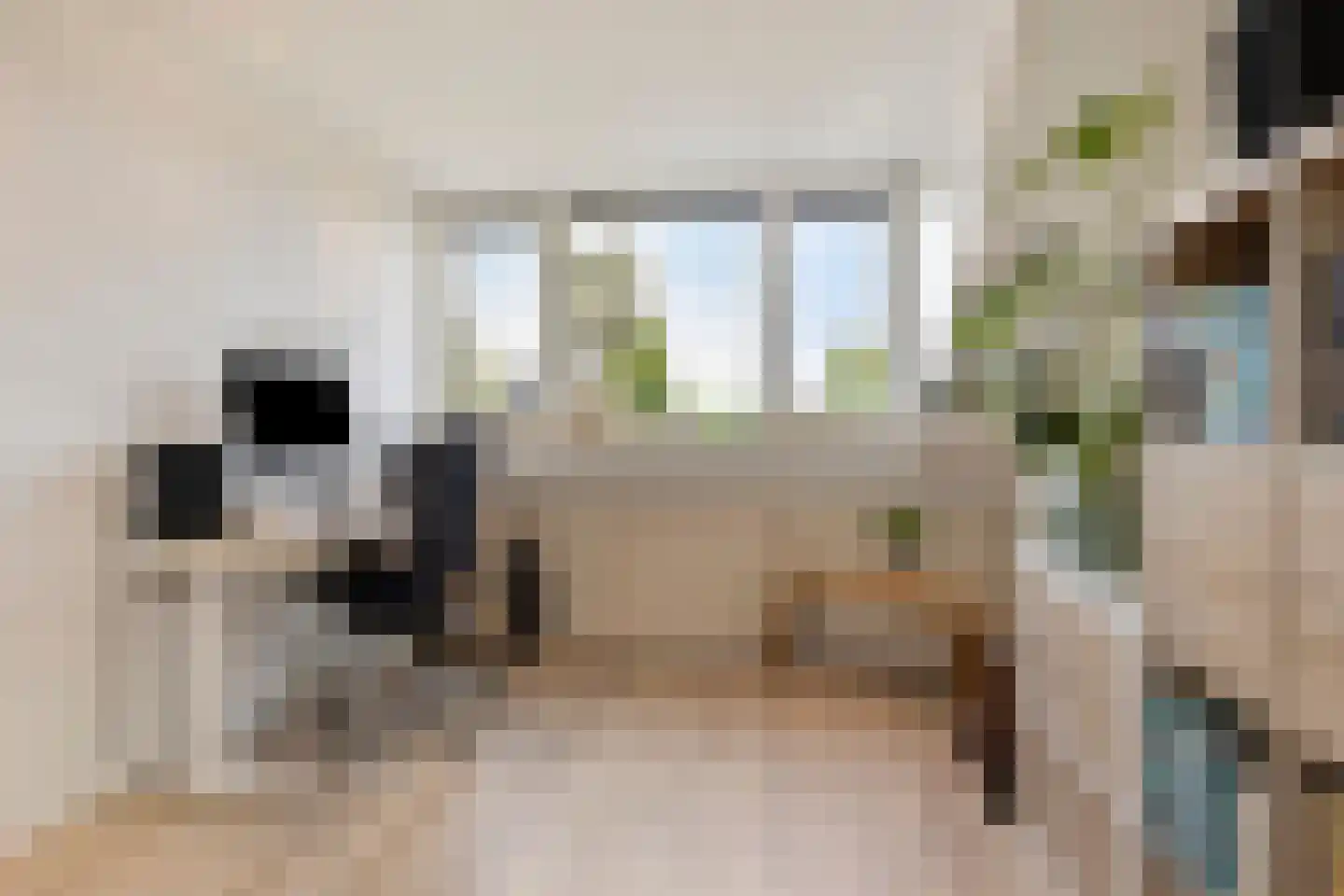 Bunschotenstraat 77 Tilburg thumbnail 30