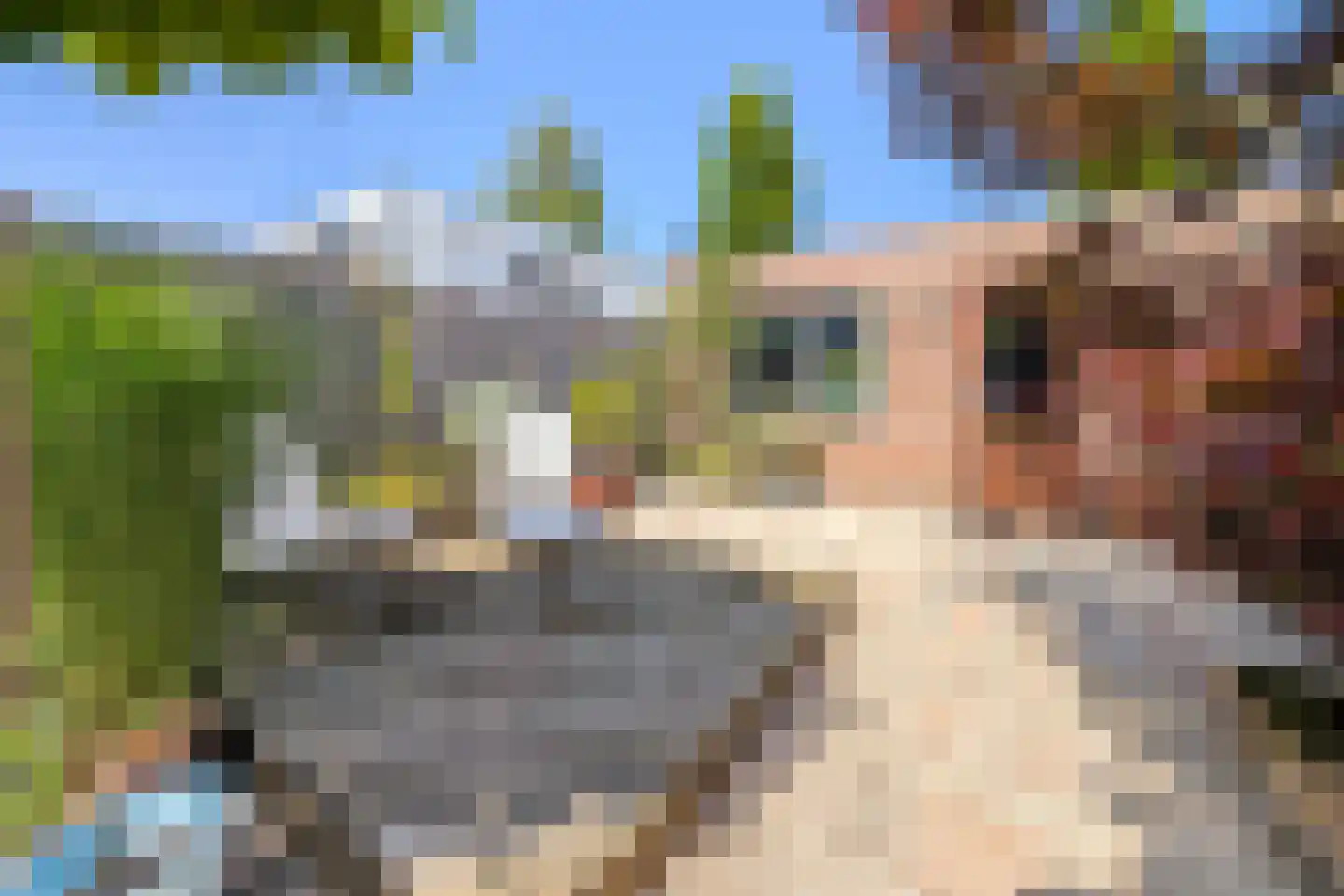 Bunschotenstraat 77 Tilburg thumbnail 34