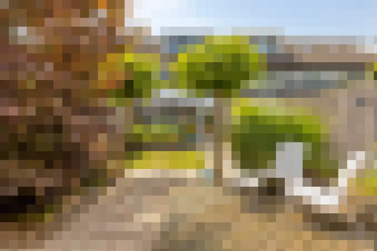 Bunschotenstraat 77 Tilburg thumbnail 39