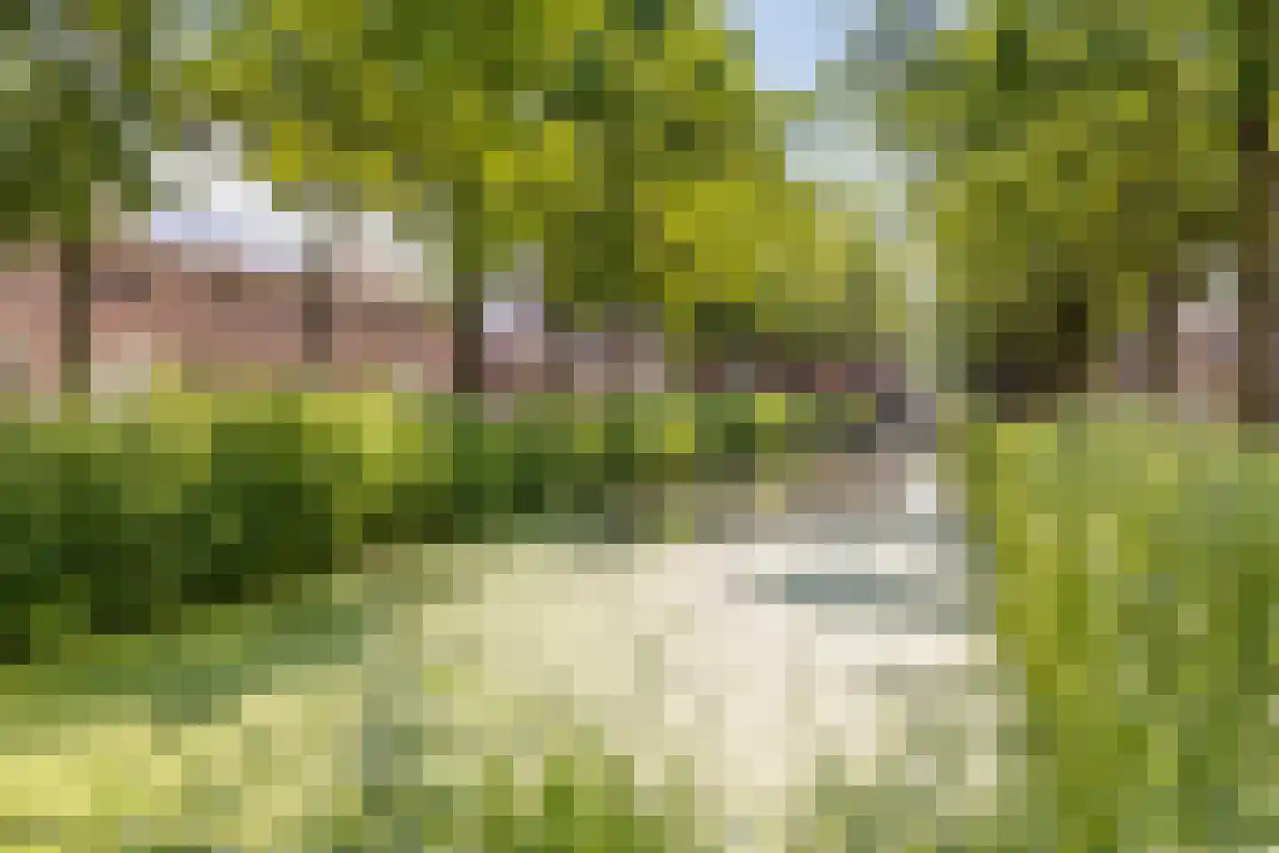 Bunschotenstraat 77 Tilburg thumbnail 51