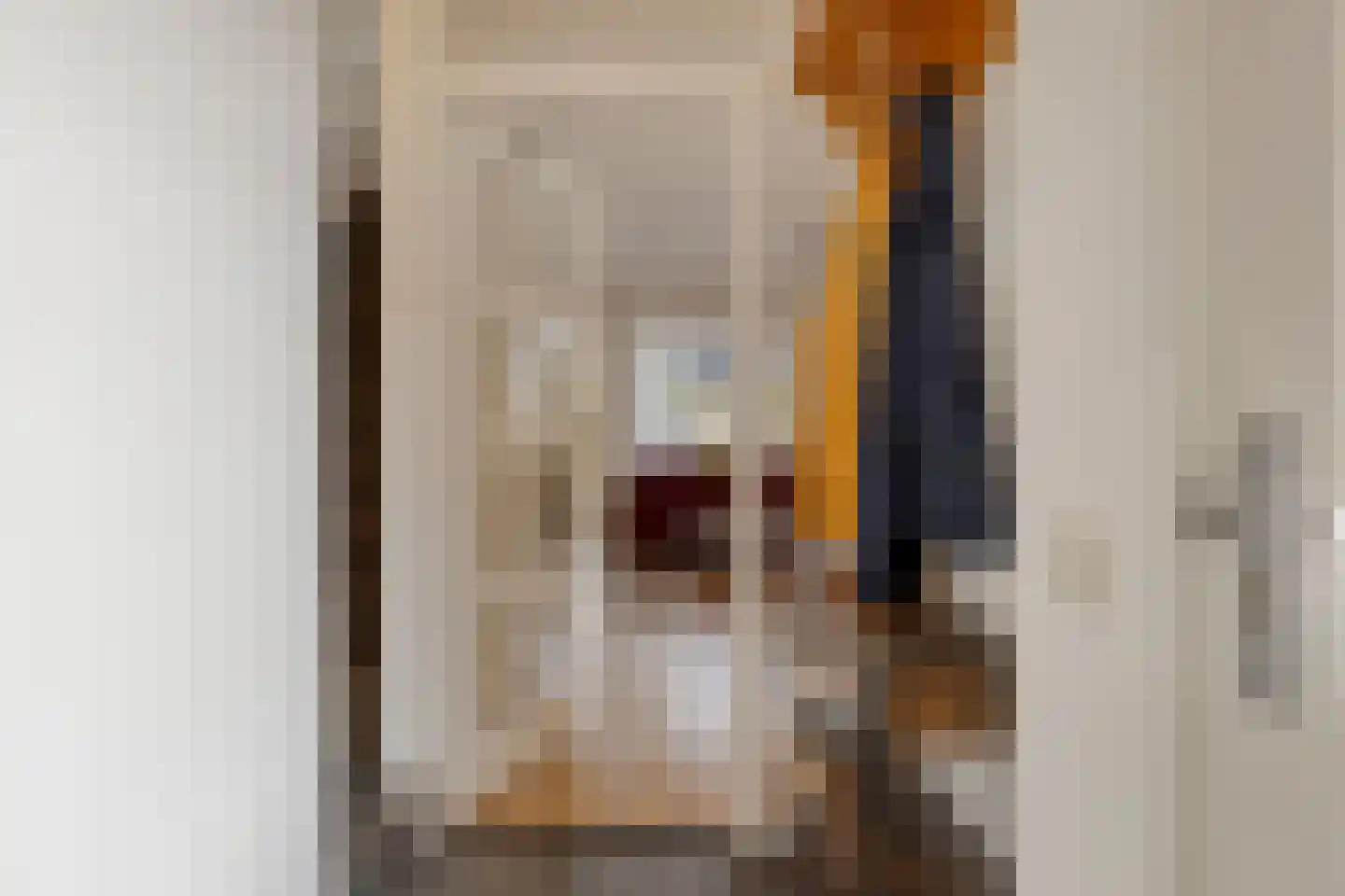 Bunschotenstraat 77 Tilburg thumbnail 7