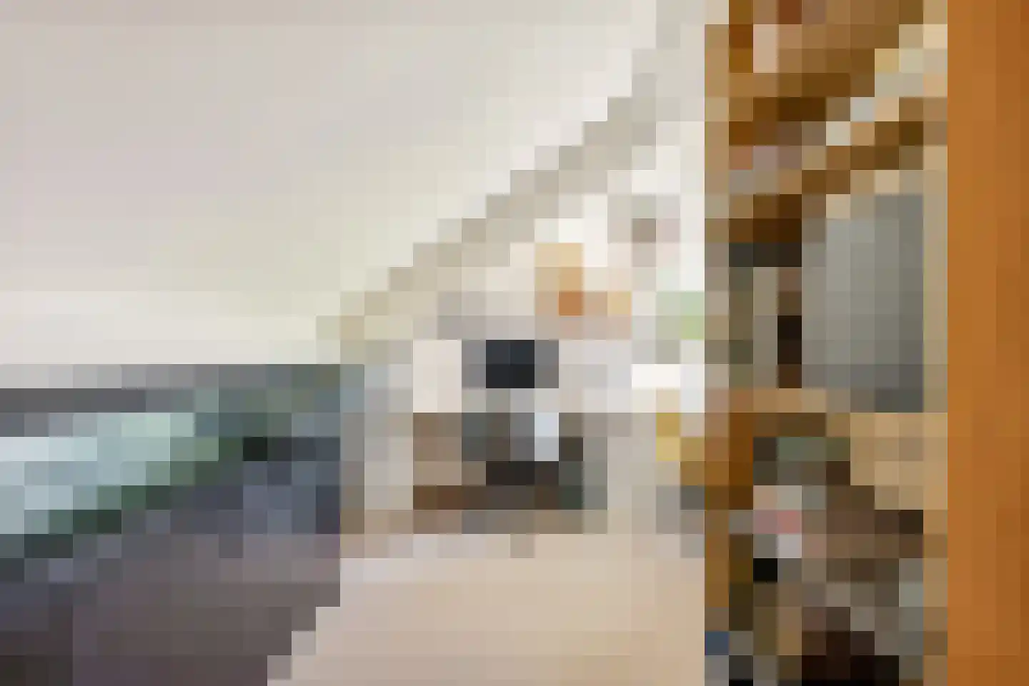 Bunschotenstraat 8 Almere thumbnail 32