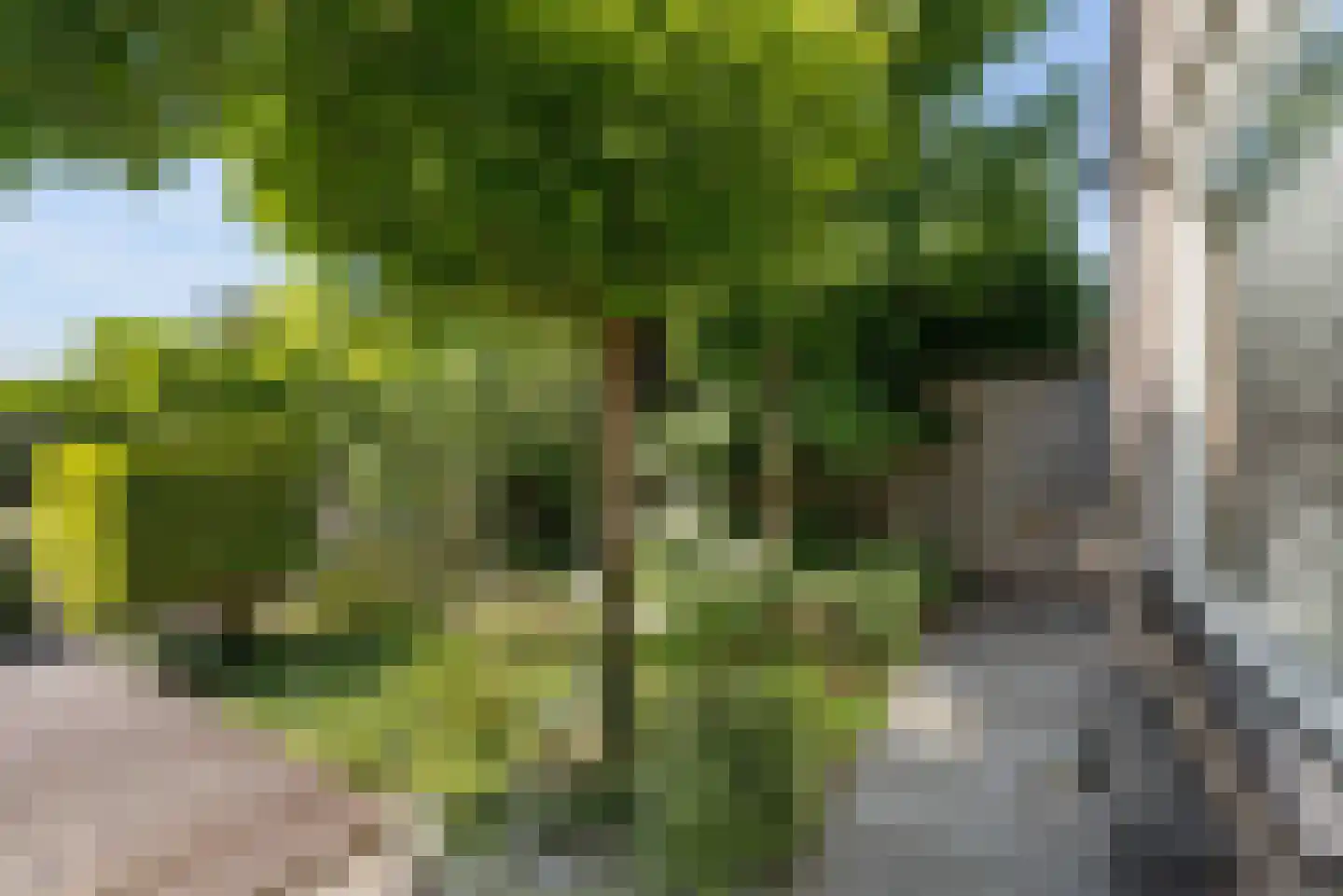 Bunschotenstraat 8 Almere thumbnail 38