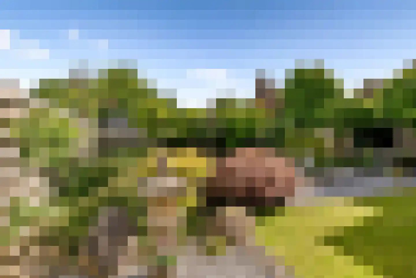Bunschotenstraat 8 Almere thumbnail 43