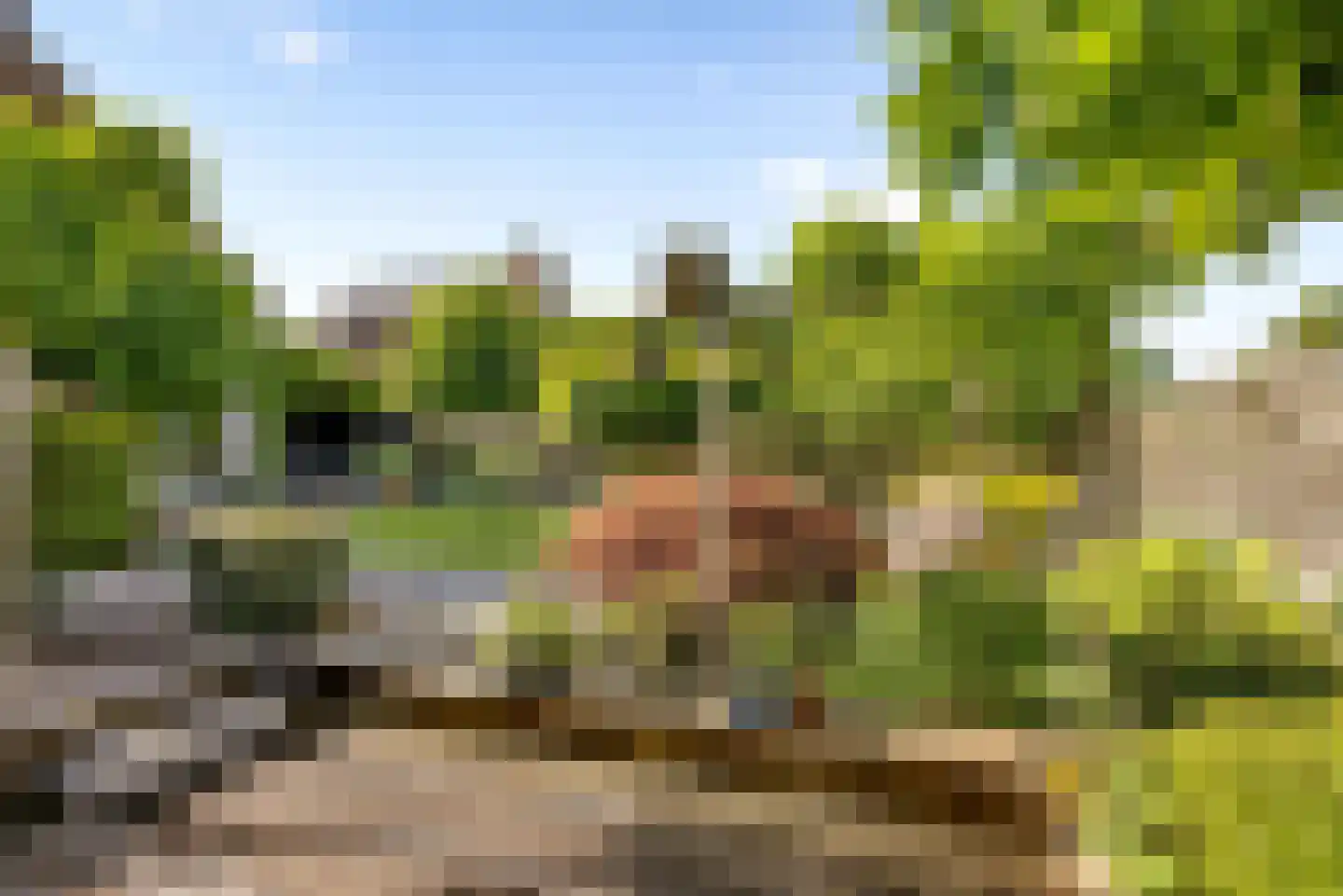 Bunschotenstraat 8 Almere thumbnail 45