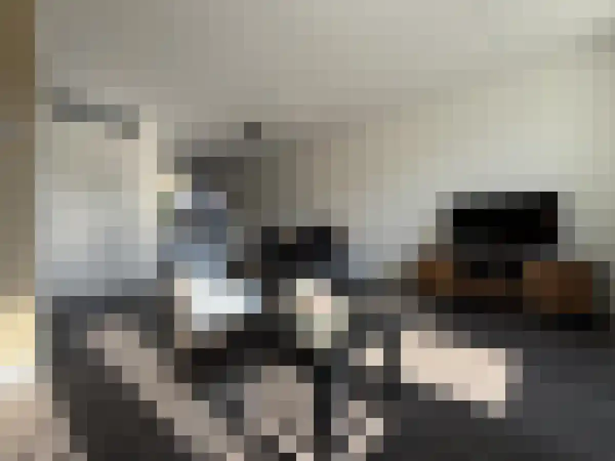 Bunschoter Kom 2 Bunschoten-Spakenburg thumbnail 6