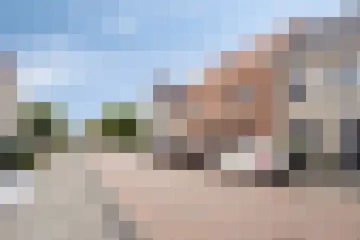 Bunschoter Veenkamp 109 Bunschoten-Spakenburg thumbnail 5