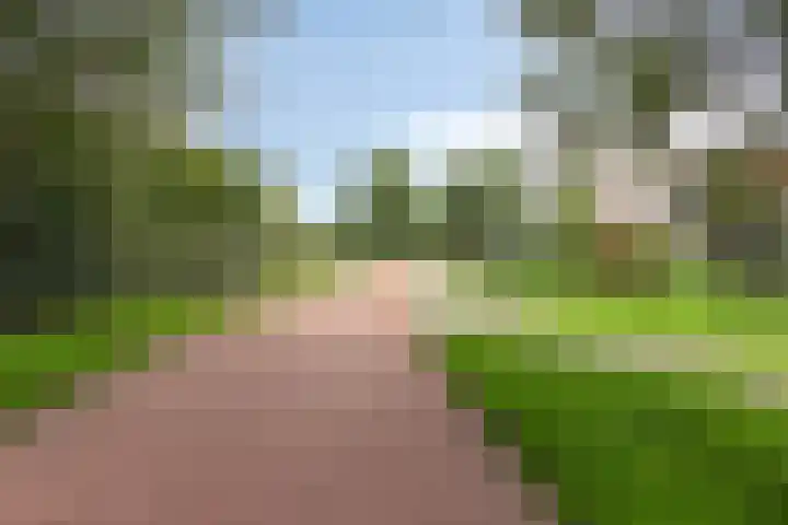 Bunschoter Veenkamp 109 Bunschoten-Spakenburg thumbnail 50