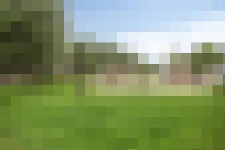Bunschoter Veenkamp 109 Bunschoten-Spakenburg thumbnail 52