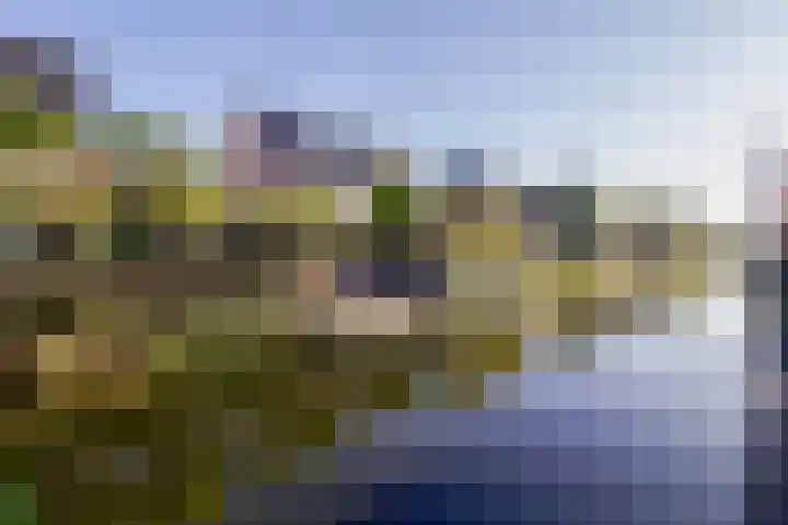 Bunschoter Veenkamp 142 Bunschoten-Spakenburg thumbnail 33