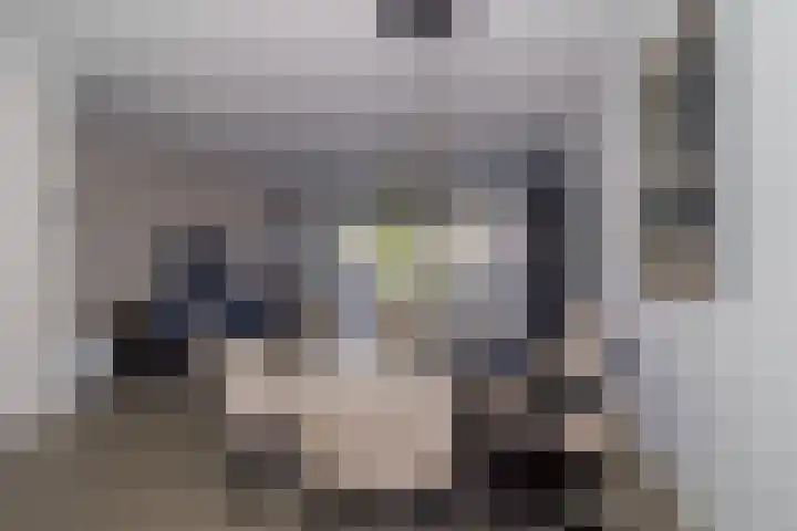 Bunschoter Veenkamp 142 Bunschoten-Spakenburg thumbnail 4