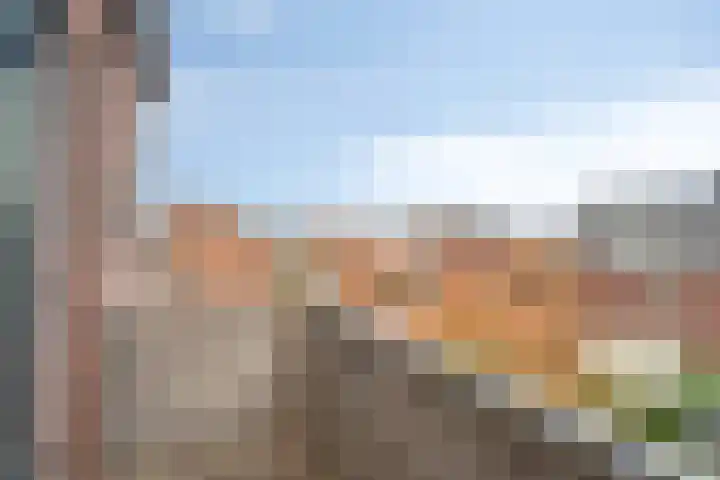 Bunschoter Veenkamp 40 Bunschoten-Spakenburg thumbnail 10