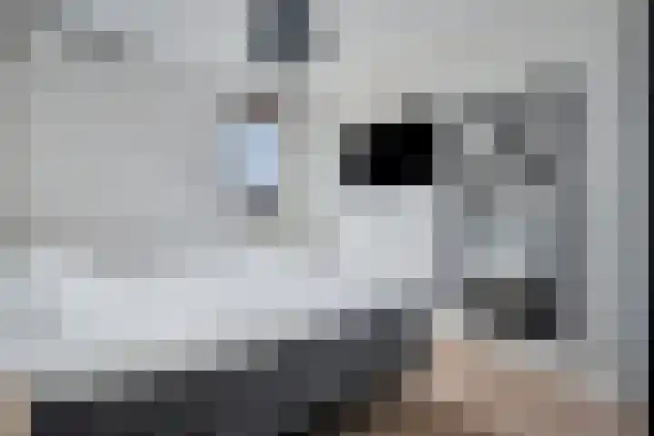 Bunschoter Veenkamp 40 Bunschoten-Spakenburg thumbnail 16