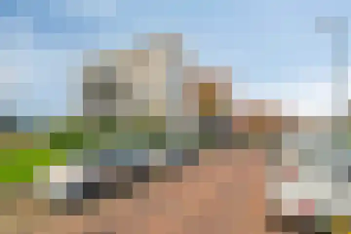 Bunschoter Veenkamp 40 Bunschoten-Spakenburg thumbnail 25
