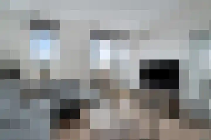 Bunschoter Veenkamp 40 Bunschoten-Spakenburg thumbnail 7