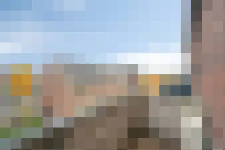 Bunschoter Veenkamp 40 Bunschoten-Spakenburg thumbnail 9