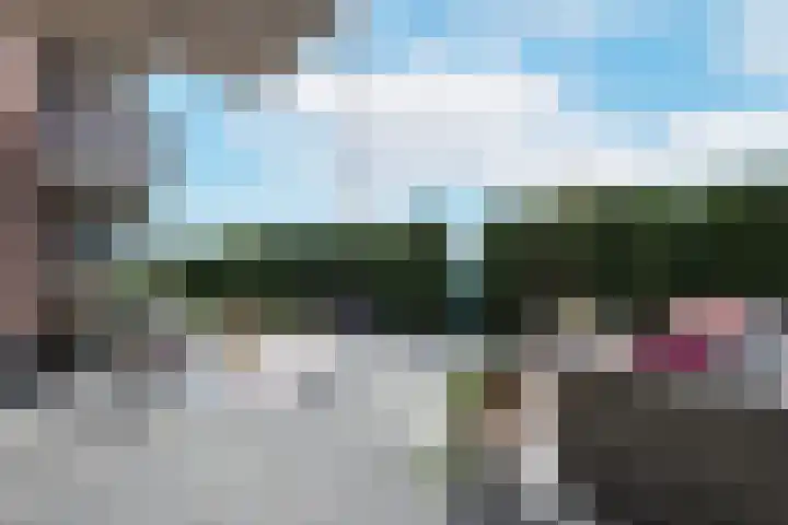 Bunschoter Veenkamp 50 a Bunschoten-Spakenburg thumbnail 10