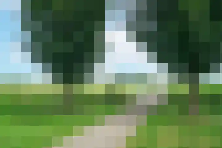 Bunschoter Veenkamp 50 a Bunschoten-Spakenburg thumbnail 26