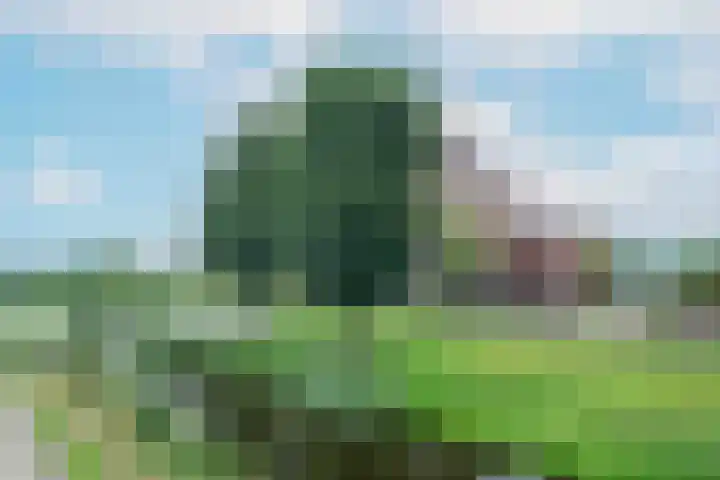 Bunschoter Veenkamp 50 a Bunschoten-Spakenburg thumbnail 27