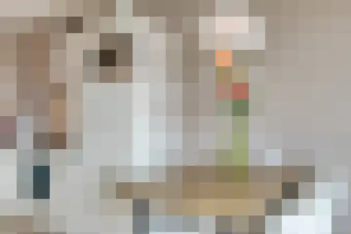 Bunschoter Veenkamp 70 g Bunschoten-Spakenburg thumbnail 10