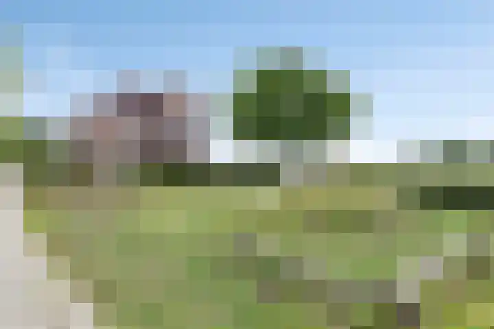 Bunschoter Veenkamp 70 g Bunschoten-Spakenburg thumbnail 21