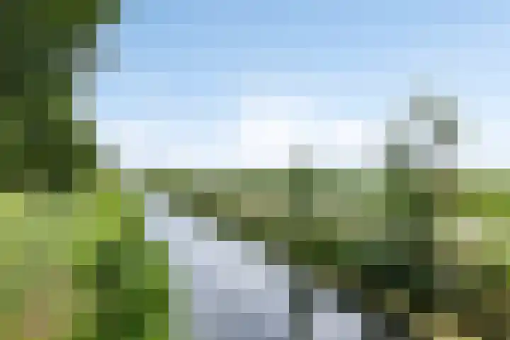 Bunschoter Veenkamp 70 g Bunschoten-Spakenburg thumbnail 22