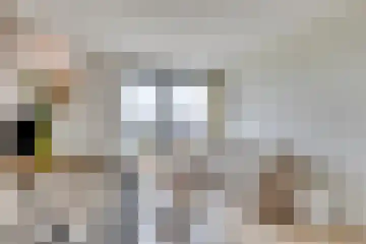 Bunschoter Veenkamp 70 g Bunschoten-Spakenburg thumbnail 7