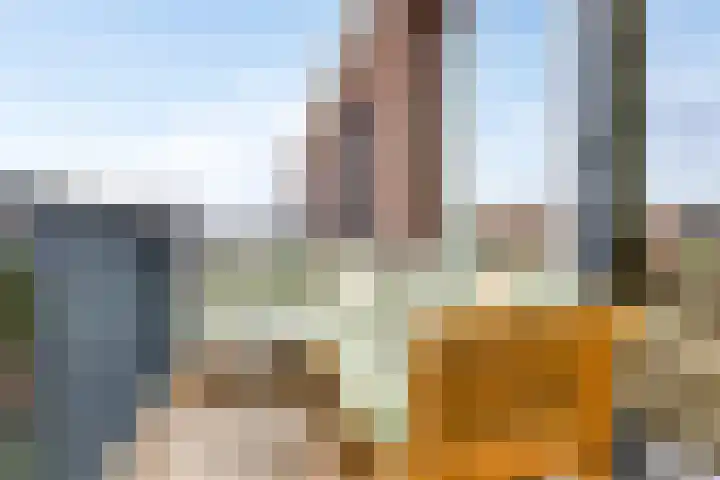 Bunschoter Veenkamp 70 g Bunschoten-Spakenburg thumbnail 8