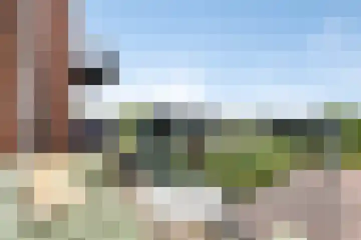 Bunschoter Veenkamp 70 g Bunschoten-Spakenburg thumbnail 9