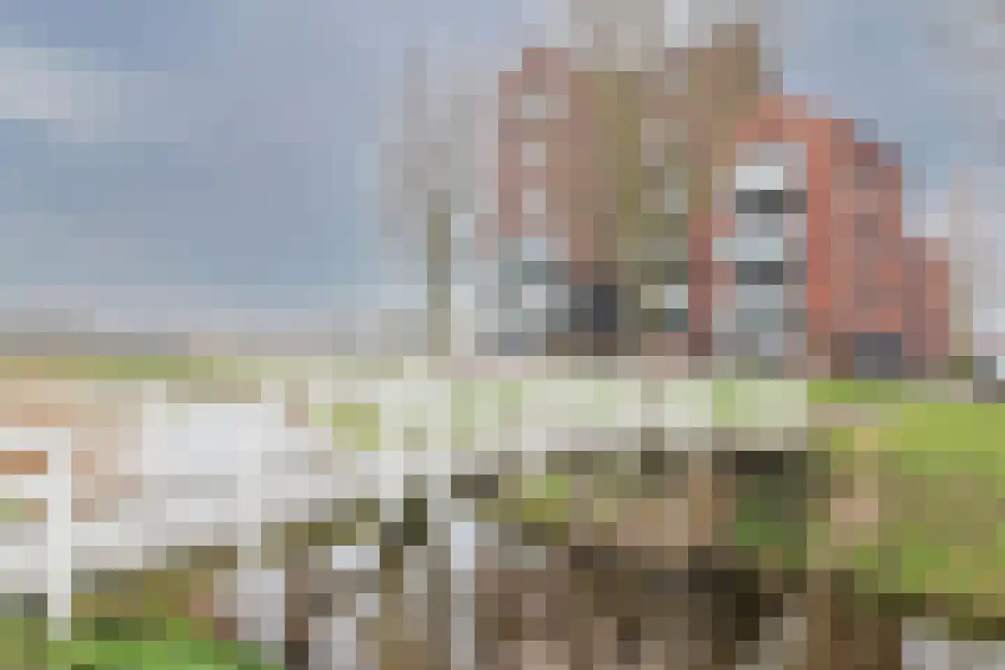 Bunschoter Veenkamp 90 a Bunschoten-Spakenburg thumbnail 30