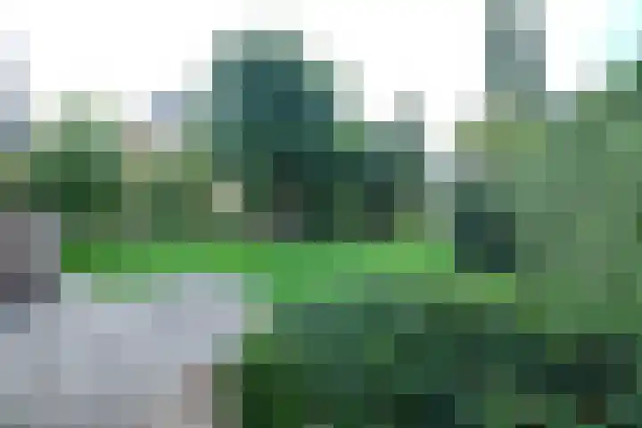 Bunschoterpad 6 Ede thumbnail 25