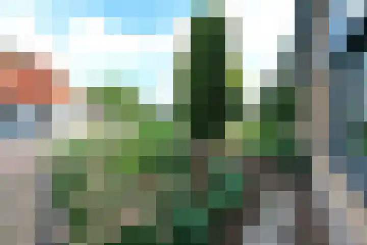 Bunschoterpad 6 Ede thumbnail 28