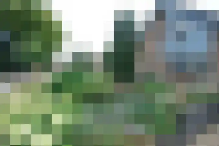 Bunschoterpad 6 Ede thumbnail 29