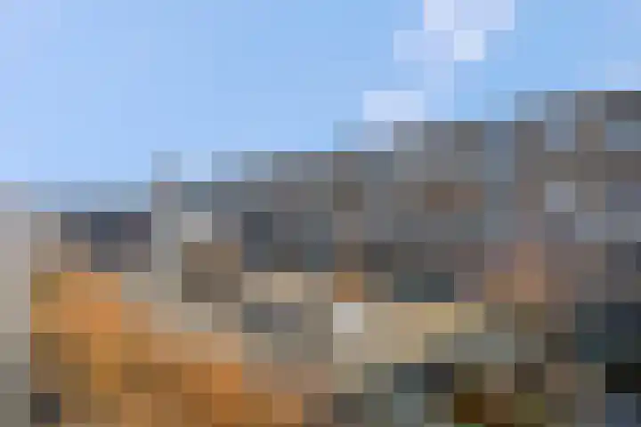 Bunschoterplein 12 Ede thumbnail 17