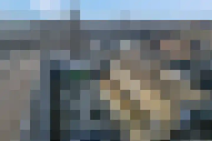 Bunschoterplein 12 Ede thumbnail 19