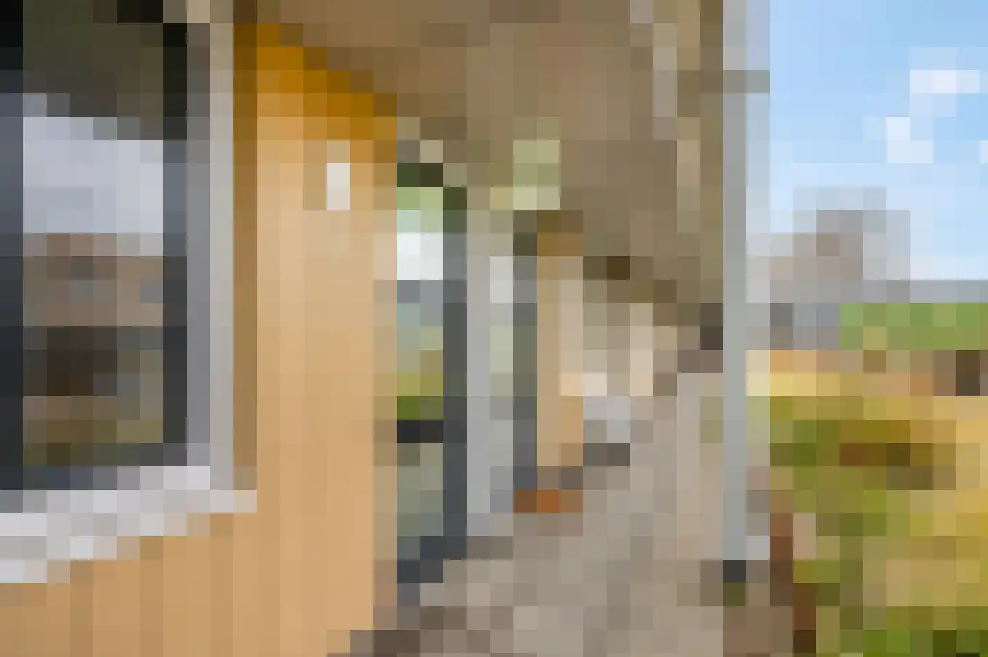 Bunschoterplein 14 Ede thumbnail 17
