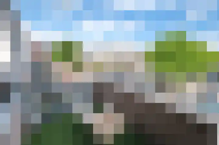 Bunschoterplein 21 4 Ede thumbnail 9