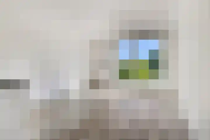 Bunschoterplein 44 Ede thumbnail 6