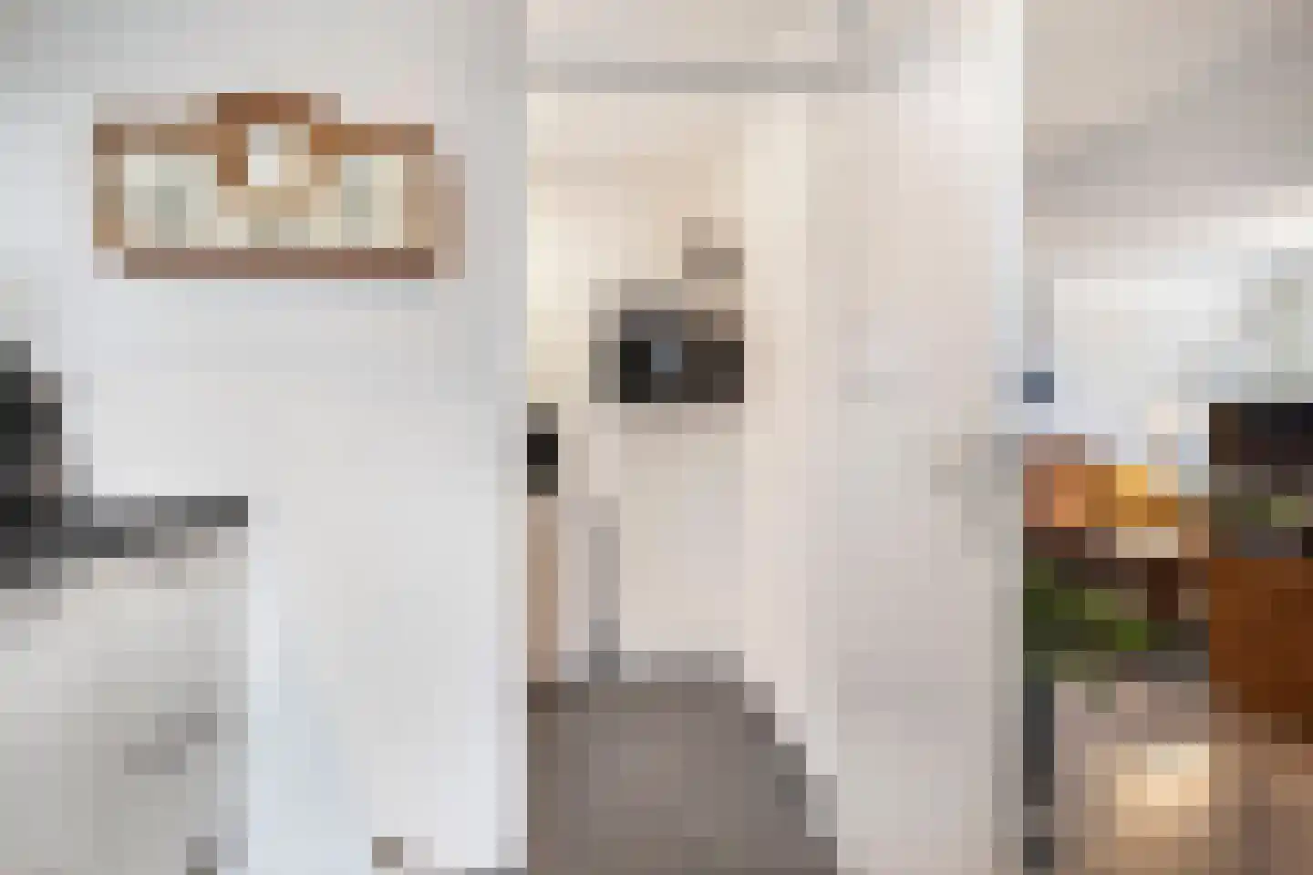 Bunschoterweg 11 Ede thumbnail 16