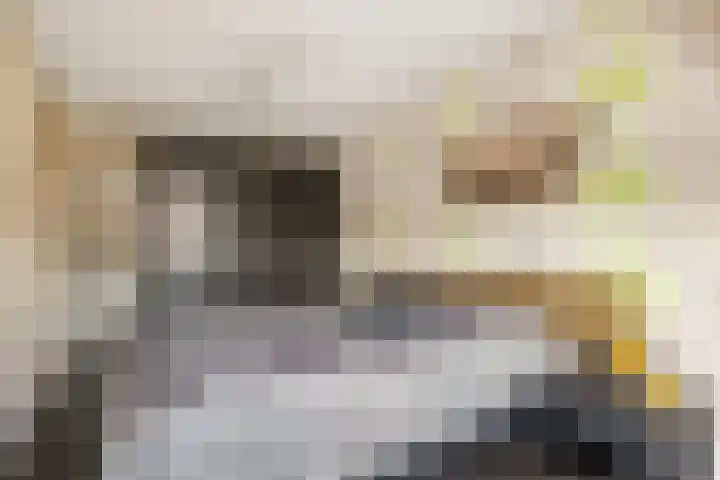 Bunschoterweg 4 Ede thumbnail 22