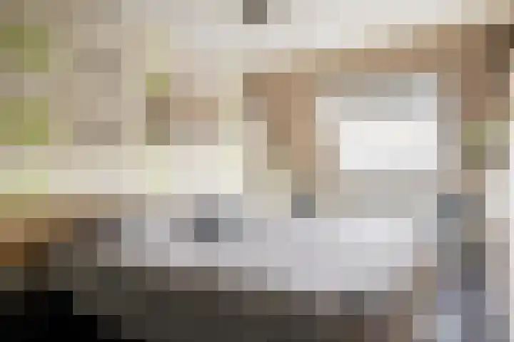 Bunschoterweg 4 Ede thumbnail 23