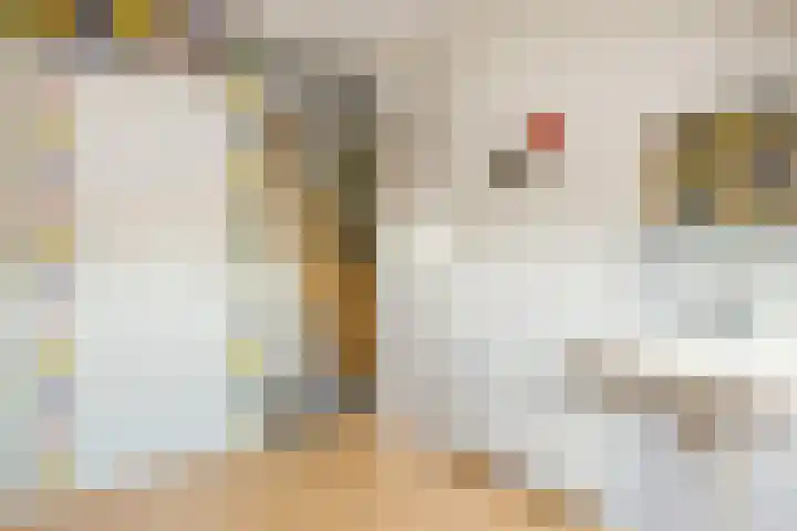 Bunschoterweg 4 Ede thumbnail 31