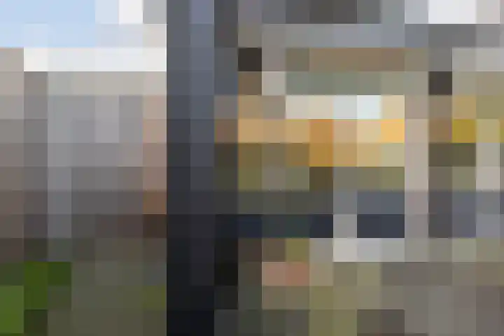 Bunschoterweg 4 Ede thumbnail 43