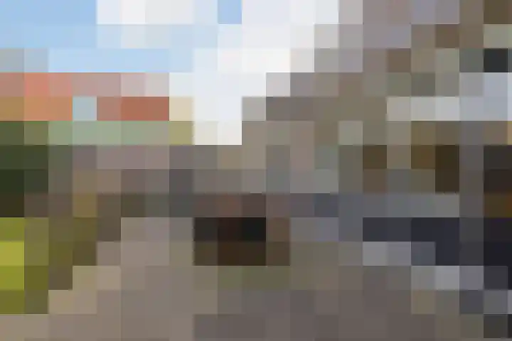 Bunschoterweg 4 Ede thumbnail 44