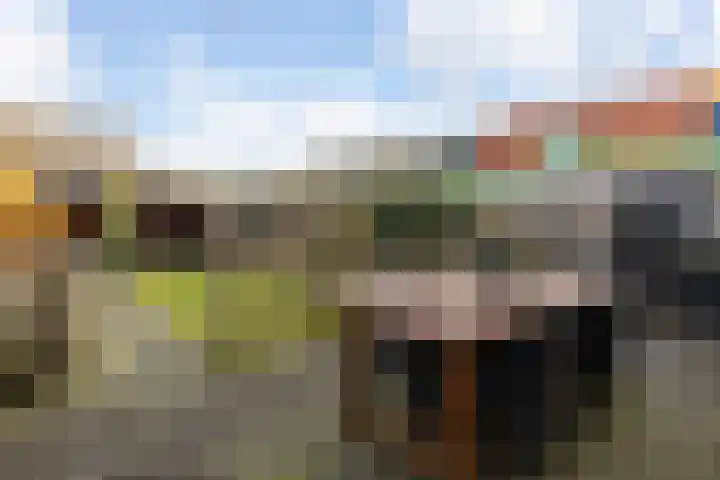 Bunschoterweg 4 Ede thumbnail 45