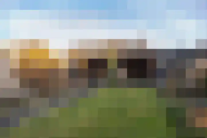 Bunschoterweg 4 Ede thumbnail 47