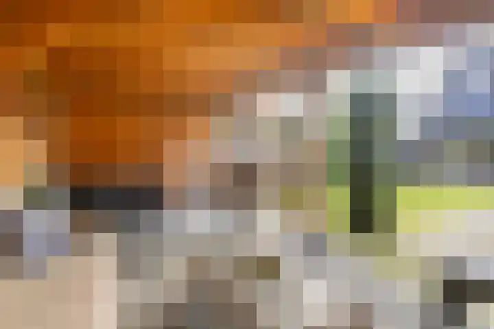Bunschoterweg 4 Ede thumbnail 49
