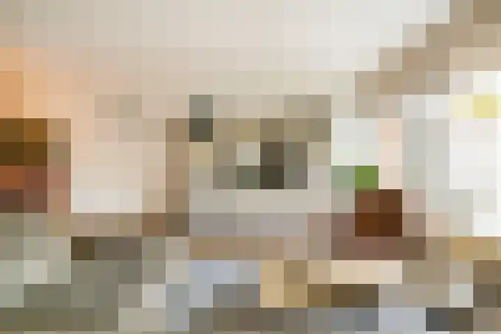 Bunschoterweg 4 Ede thumbnail 5