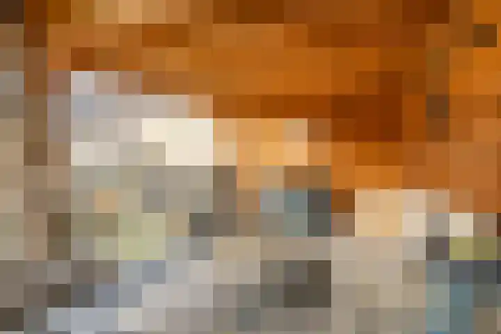 Bunschoterweg 4 Ede thumbnail 50