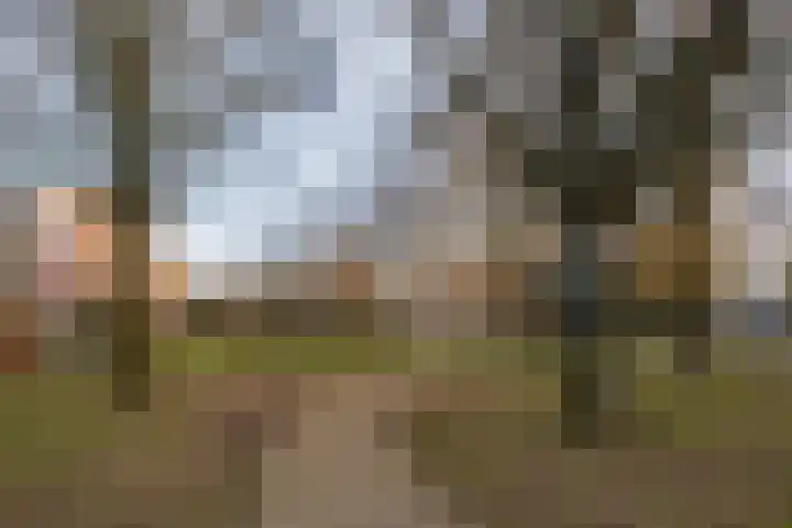 Bunschoterweg 4 Ede thumbnail 57